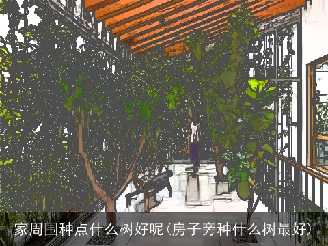 家周围种点什么树好呢(房子旁种什么树最好)