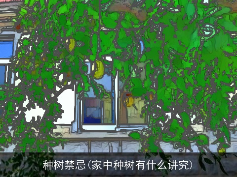 种树禁忌(家中种树有什么讲究)