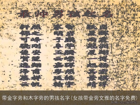 带金字旁和木字旁的男孩名字(女孩带金旁文雅的名字免费)