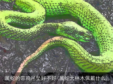 属蛇的带鸡吊坠好不好(属蛇大林木佩戴什么)