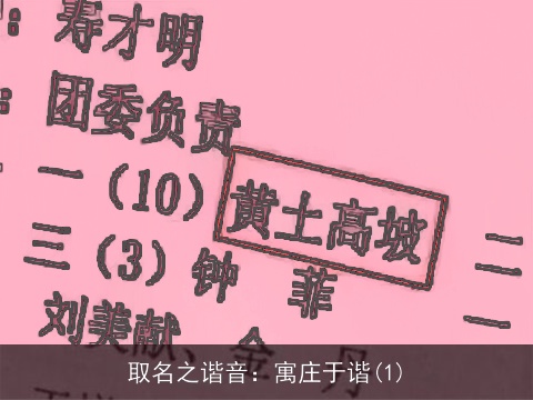 取名之谐音：寓庄于谐(1)