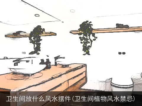 卫生间放什么风水摆件(卫生间植物风水禁忌)