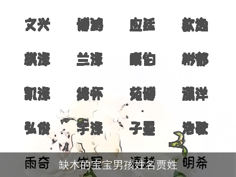 缺木的宝宝男孩姓名贾姓