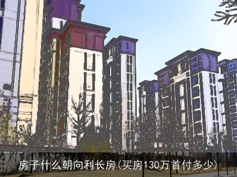 房子什么朝向利长房(买房130万首付多少)