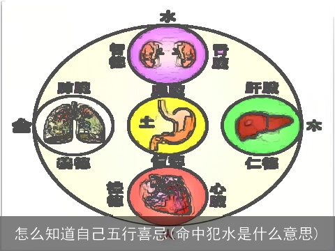 怎么知道自己五行喜忌(命中犯水是什么意思)