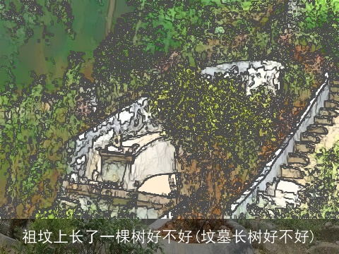 祖坟上长了一棵树好不好(坟墓长树好不好)