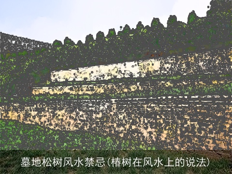 墓地松树风水禁忌(椿树在风水上的说法)