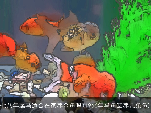 七八年属马适合在家养金鱼吗(1966年马鱼缸养几条鱼)