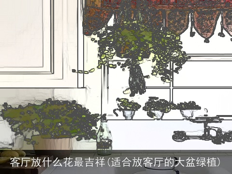 客厅放什么花最吉祥(适合放客厅的大盆绿植)