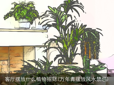 客厅摆放什么植物招财(万年青摆放风水禁忌)