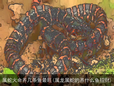 属蛇火命养几条鱼最旺(属龙属蛇的养什么鱼招财)