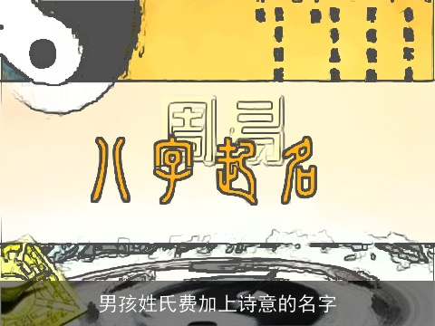 男孩姓氏费加上诗意的名字