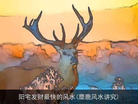 阳宅发财最快的风水(麋鹿风水讲究)