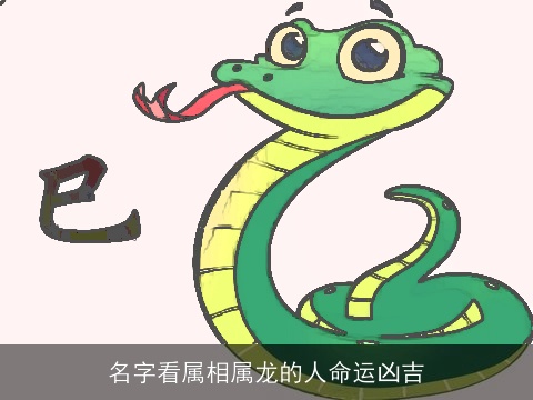 名字看属相属龙的人命运凶吉