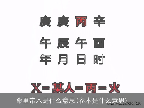 命里带木是什么意思(参木是什么意思)