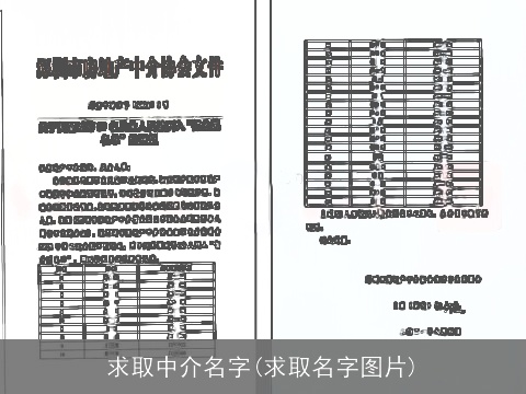 求取中介名字(求取名字图片)
