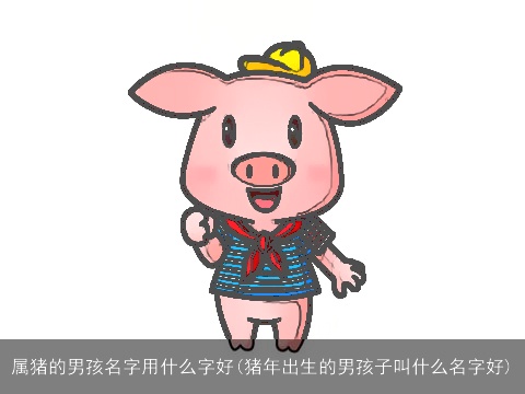 属猪的男孩名字用什么字好(猪年出生的男孩子叫什么名字好)