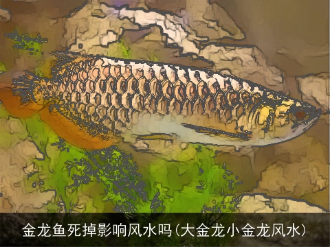 金龙鱼死掉影响风水吗(大金龙小金龙风水)