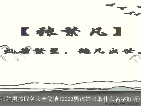 张姓男孩取名大全简洁(2023男孩姓张取什么名字好听)