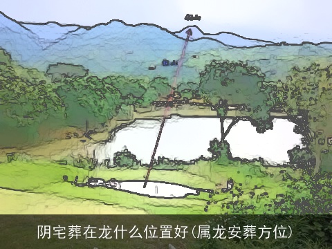 阴宅葬在龙什么位置好(属龙安葬方位)