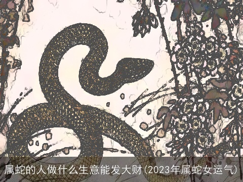 属蛇的人做什么生意能发大财(2023年属蛇女运气)