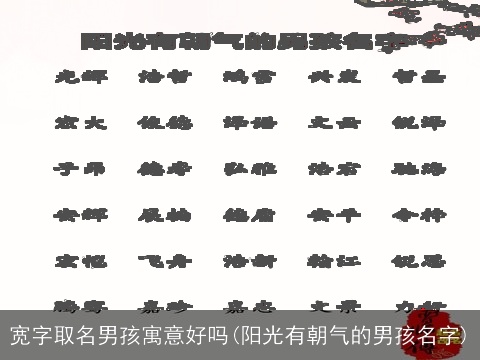 宽字取名男孩寓意好吗(阳光有朝气的男孩名字)