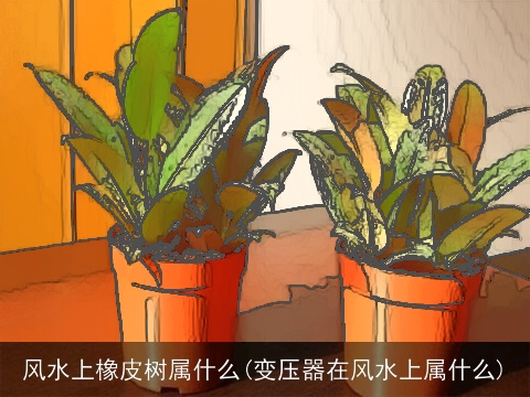 风水上橡皮树属什么(变压器在风水上属什么)