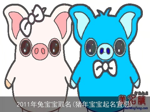 2011年兔宝宝取名(猪年宝宝起名宜忌)