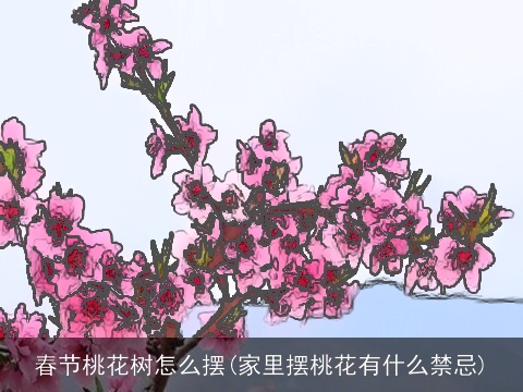 春节桃花树怎么摆(家里摆桃花有什么禁忌)