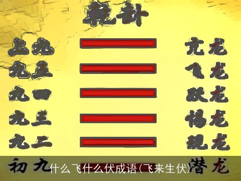 什么飞什么伏成语(飞来生伏)