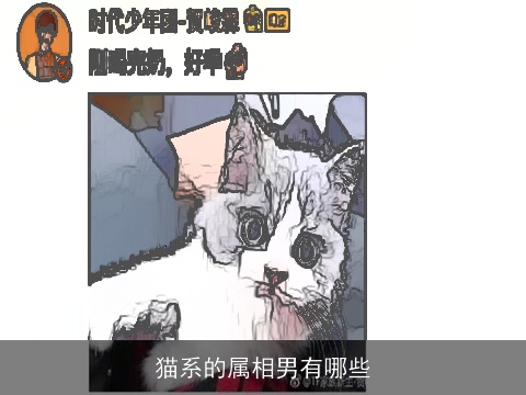 猫系的属相男有哪些