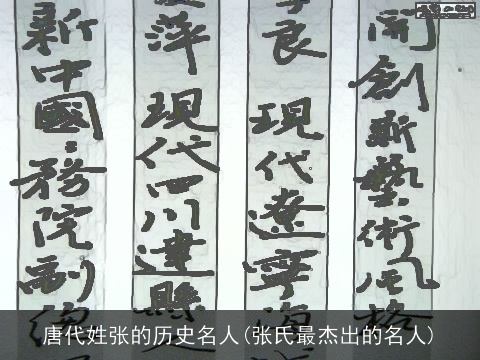 唐代姓张的历史名人(张氏最杰出的名人)