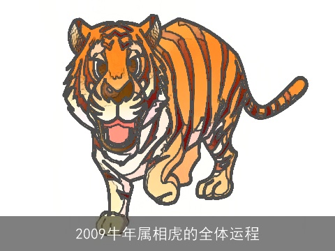 2009牛年属相虎的全体运程