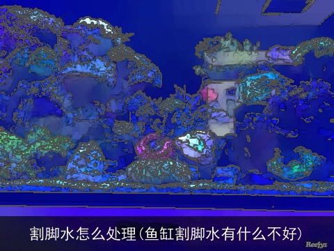 割脚水怎么处理(鱼缸割脚水有什么不好)