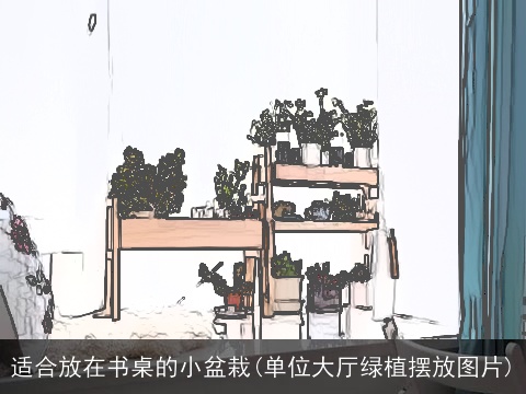 适合放在书桌的小盆栽(单位大厅绿植摆放图片)