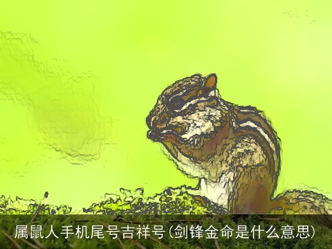 属鼠人手机尾号吉祥号(剑锋金命是什么意思)