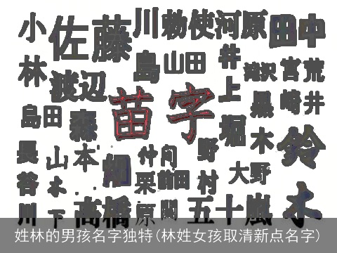 姓林的男孩名字独特(林姓女孩取清新点名字)