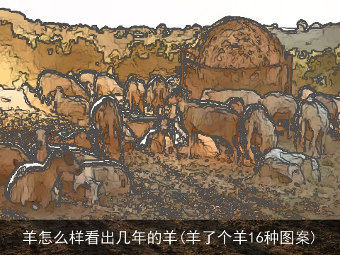 羊怎么样看出几年的羊(羊了个羊16种图案)