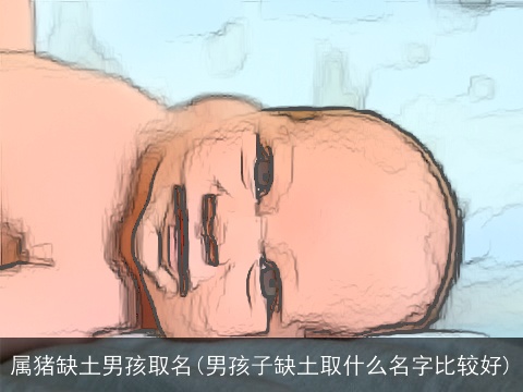 属猪缺土男孩取名(男孩子缺土取什么名字比较好)