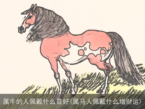 属牛的人佩戴什么最好(属马人佩戴什么增财运)