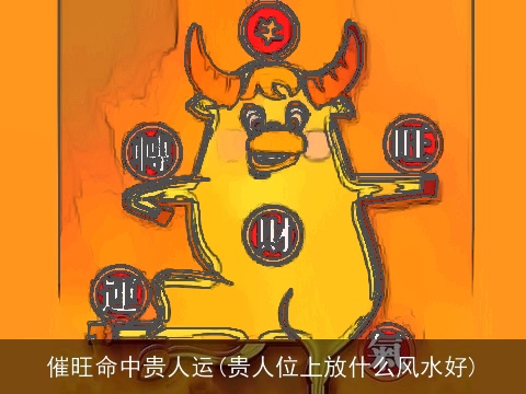 催旺命中贵人运(贵人位上放什么风水好)