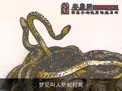梦见叫人把蛇打死