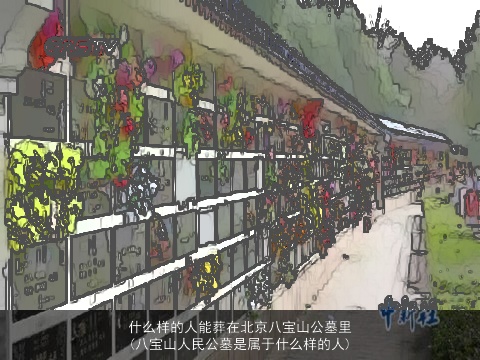 什么样的人能葬在北京八宝山公墓里(八宝山人民公墓是属于什么样的人)