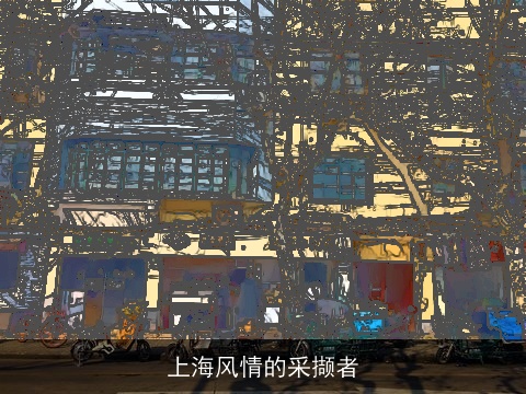 上海风情的采撷者