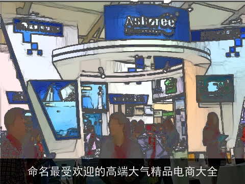 命名最受欢迎的高端大气精品电商大全