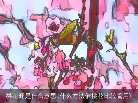 桃花旺是什么意思(什么方法催桃花比较管用)