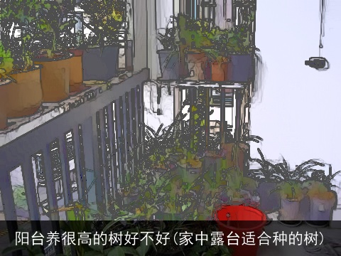 阳台养很高的树好不好(家中露台适合种的树)