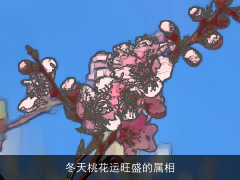 冬天桃花运旺盛的属相