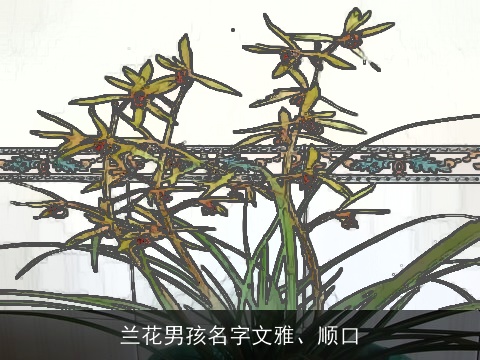 兰花男孩名字文雅、顺口