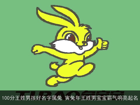 100分王姓男孩好名字属兔 寅兔年王姓男宝宝霸气响亮起名